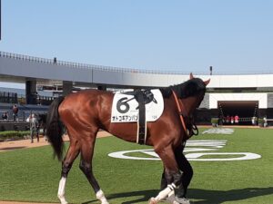 競馬場