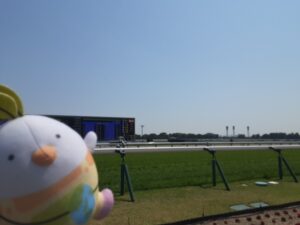 競馬場