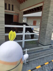 競馬場