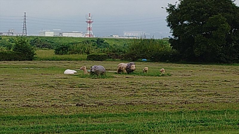 枚方サファリ風景